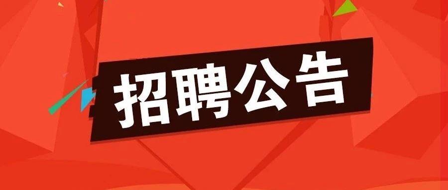 全国最新招聘趋势与行业热点深度解析