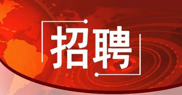 河北最新招聘动态与职业机会展望