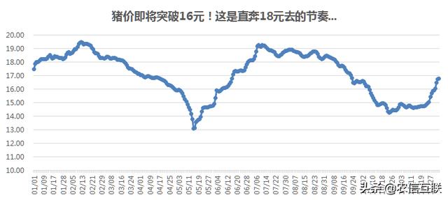 猪价行情宝，实时掌握最新猪价动态，助力养猪事业发展