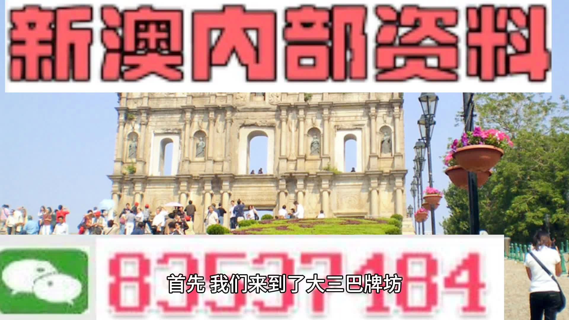 2024年11月19日 第74页