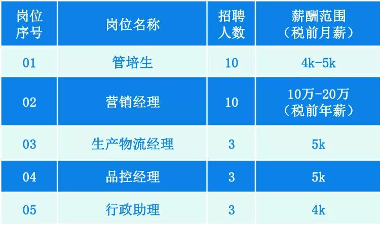 2024年新澳门大全免费,实地验证设计解析_专业款171.376