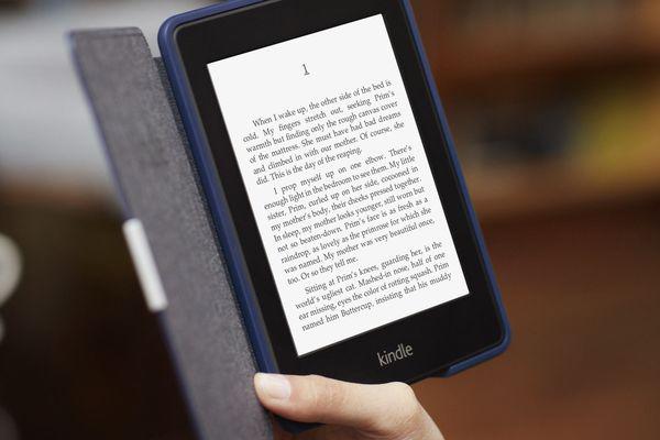 新澳姿料正版免费资料,实时说明解析_Kindle21.377