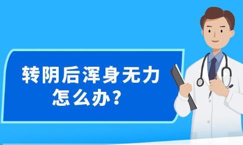 新澳精准资料免费提供网站,数据导向策略实施_Prime83.787