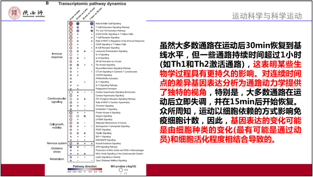 澳门二四六天天资料大全2023,广泛的解释落实方法分析_N版77.741