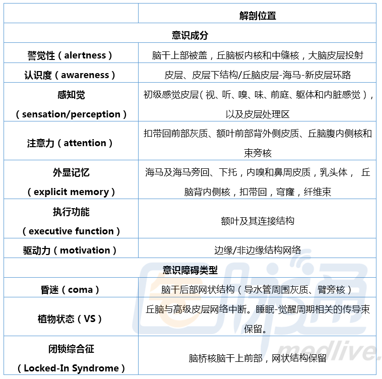 意识障碍的分级与临床意义解析