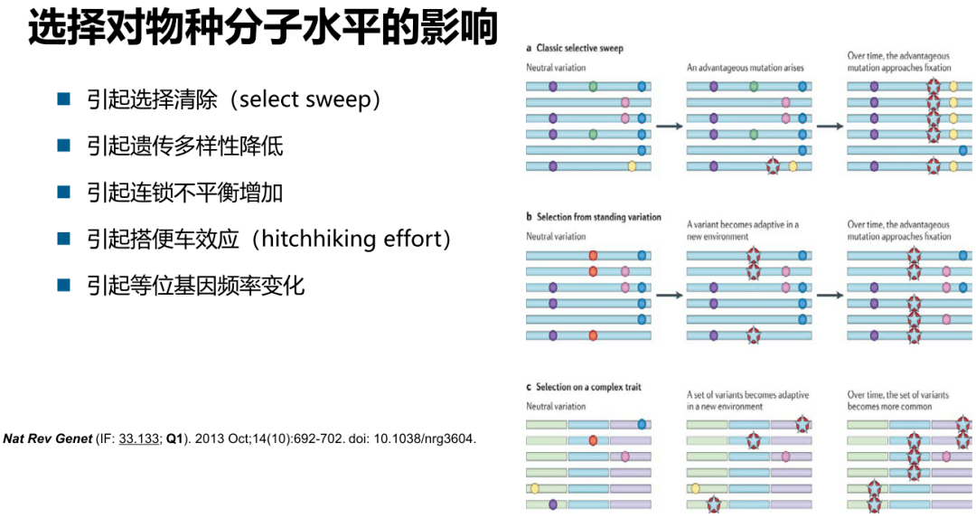 494949开奖历史记录最新开奖记录,精细化策略探讨_NE版67.979