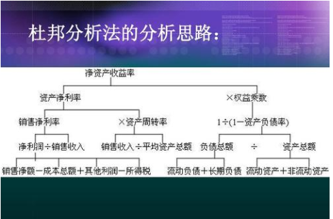 4949正版免费资料大全水果,全面数据分析方案_扩展版6.986