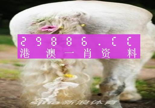 光影之舞 第2页