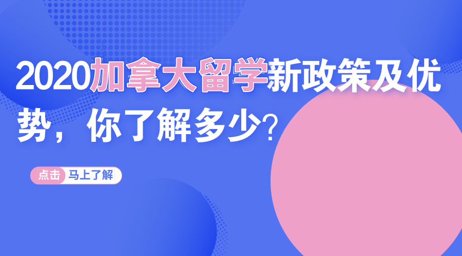 出国最新政策，新时代机遇与挑战下的开放与调整并重之路