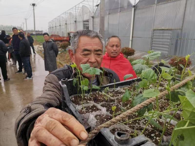 泗阳庄圩发展动态，把握发展与变革的脉搏