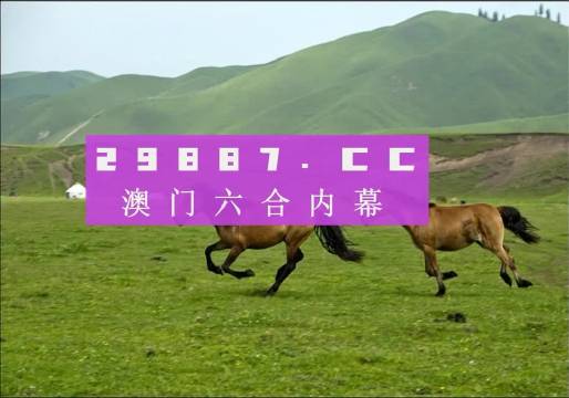 澳门跑狗,实地解答解释定义_战斗版88.344