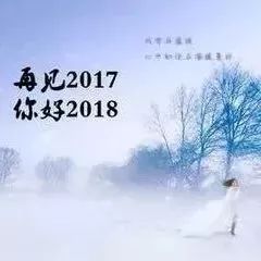 探索未来，揭秘2017年的无限可能