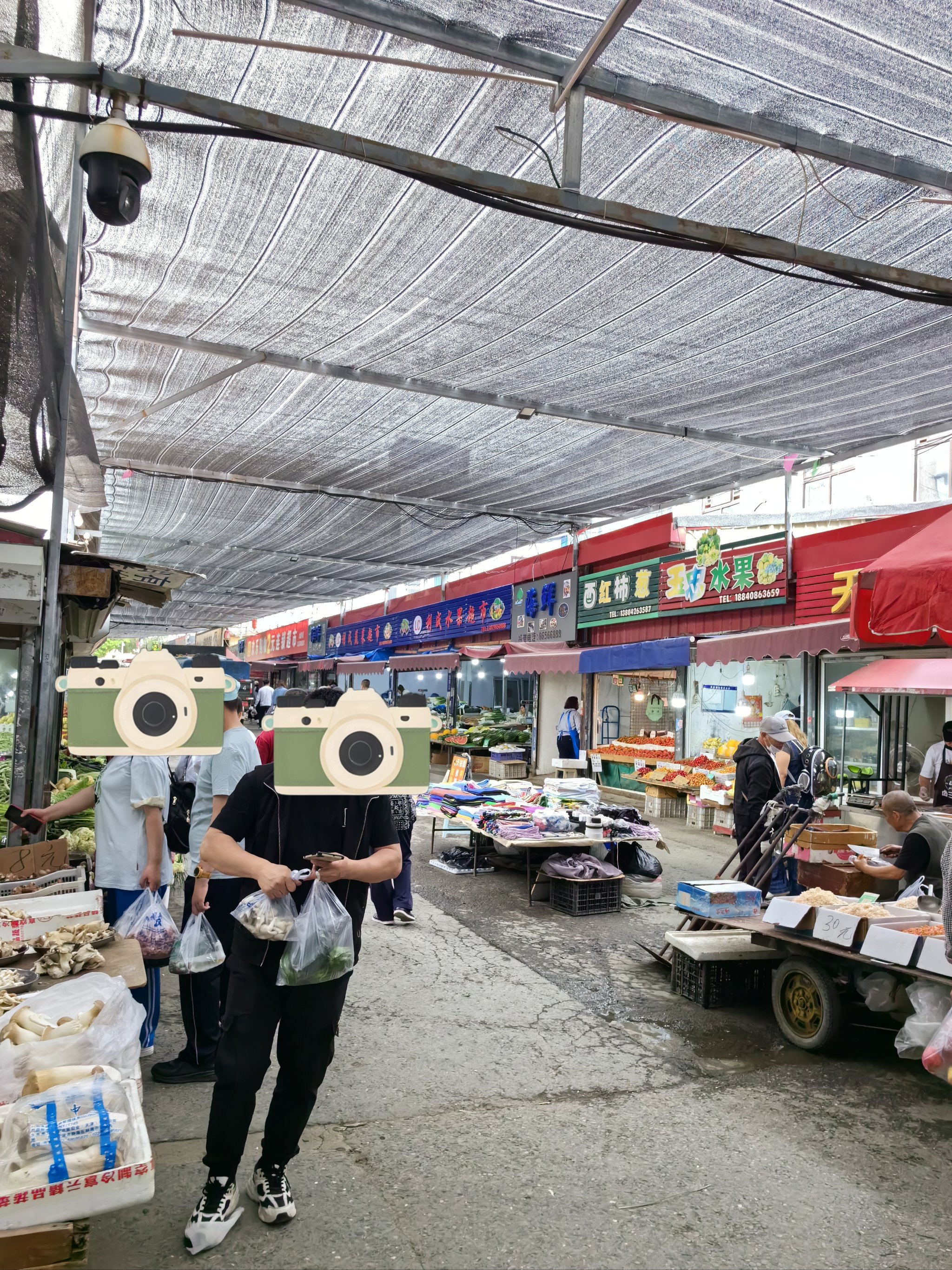 大连早市探秘，城市醒来的味道与活力全攻略