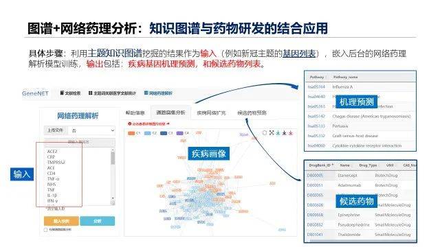 新澳精准资料免费提供,数据驱动策略设计_VR88.755