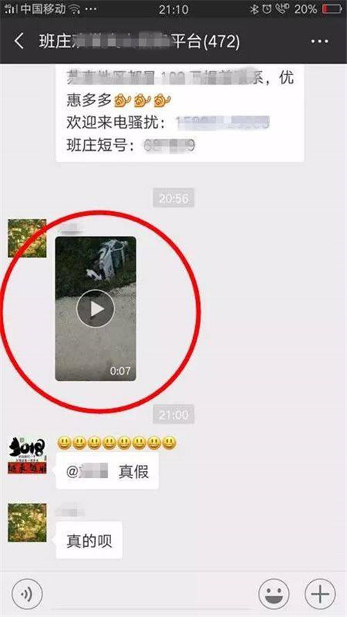 微信群视频下载指南与技巧分享