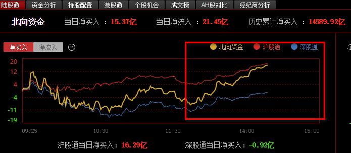 001313最新情况全面解析报告