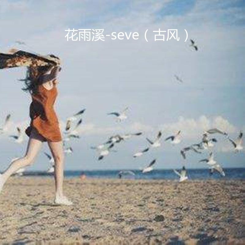 Seve舞曲下载，探寻音乐世界的独特魅力