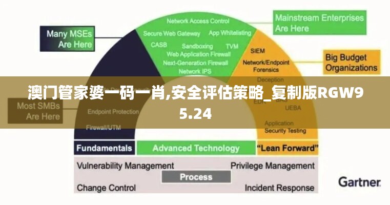 新澳门管家婆一句,高效性策略设计_WearOS84.846