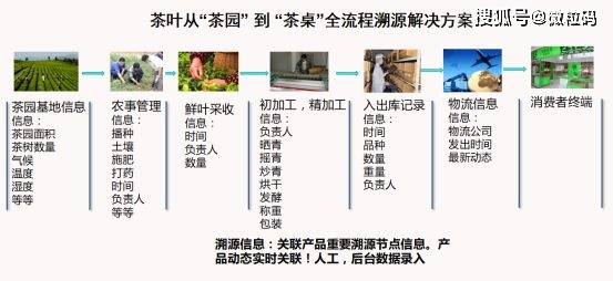 澳门一码一码100准确挂牌,实用性执行策略讲解_WP版53.732