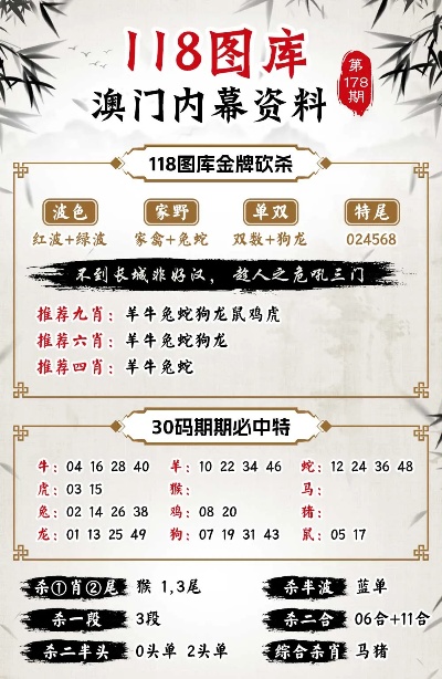 二四六246天天彩资料,经典说明解析_Z48.60